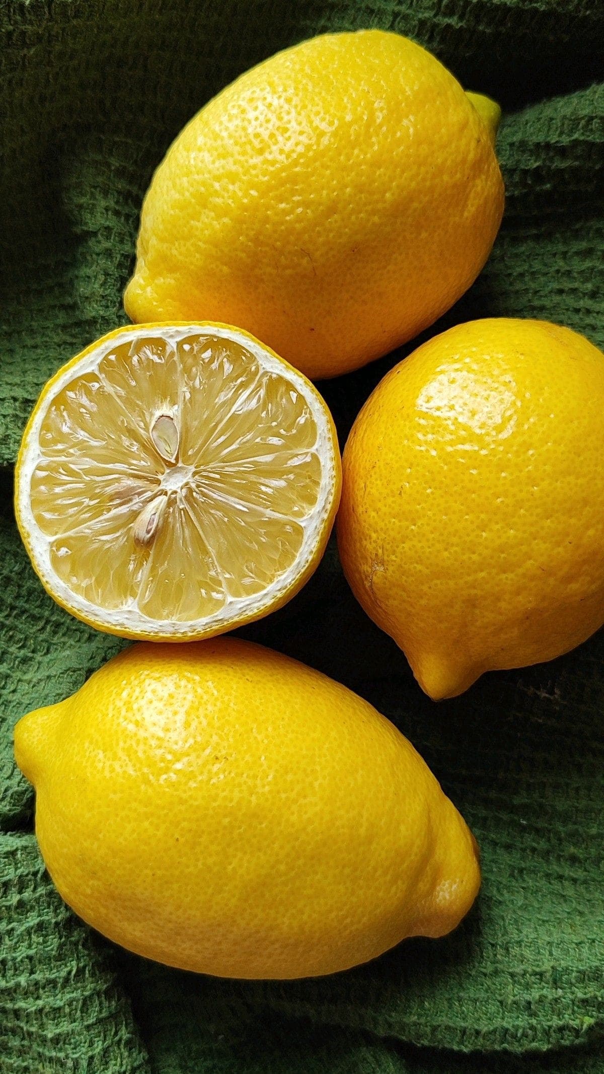 Fresh Indian Lemon for export