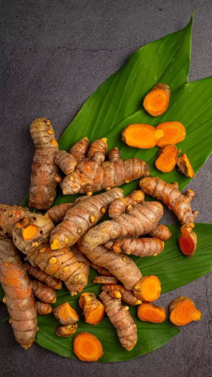 Fresh Indian Turmeric for export